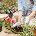 寄せ植えの基本：日本庭園に学ぶバランスの取り方と美意識
