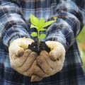 雑草が生い茂る原因とその背景にある環境要因とは