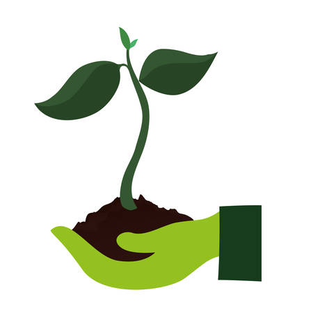 植物ごとの適切な水やり方法