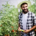 リビングルームに最適なおしゃれ観葉植物のレイアウトアイデア集