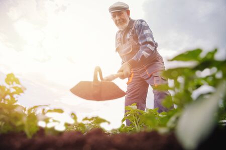 庭に蝶や蜂を呼びこむための四季折々の花選びガイド