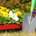バルコニーで植物を美しく見せるためのレイアウト術と収納のコツ
