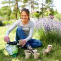 日本の家屋に最適な観葉植物用鉢・プランター素材徹底比較