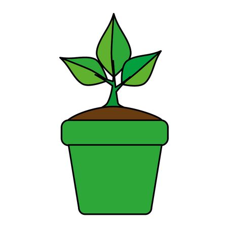 根腐れに陥った植物の回復手順