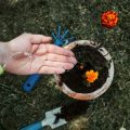 マンション・ベランダガーデンで楽しむ春の植え替え術