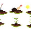 家庭で実践できる鉢植え植物の冬越しポイントと注意点