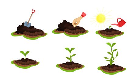 家庭で実践できる鉢植え植物の冬越しポイントと注意点