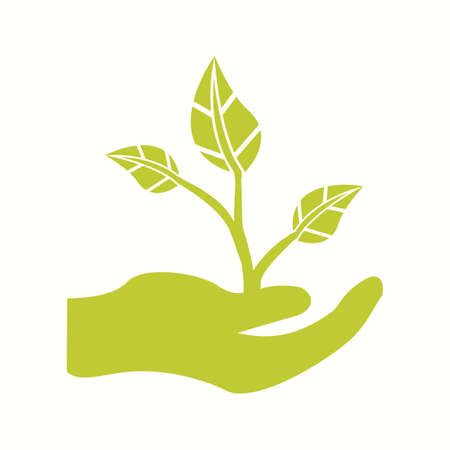 秋の害虫・病気の傾向と対策