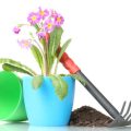 家庭菜園で実践できる無農薬栽培の具体的な方法