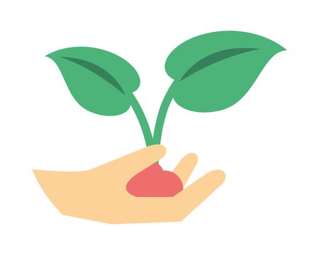 初心者におすすめの植物選び