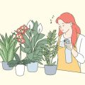 夏の水やりの基本とコツ：日本の気候に合わせた最適な方法