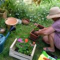 秋の花壇の魅力を引き出す季節花選びと配置テクニック