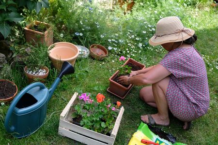 秋の花壇の魅力を引き出す季節花選びと配置テクニック