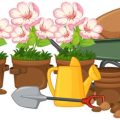 夏祭りとひまわり：夏の花を使ったガーデンパーティと地域行事への応用