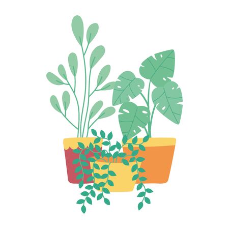 天敵を呼び込む植栽や庭のレイアウト術