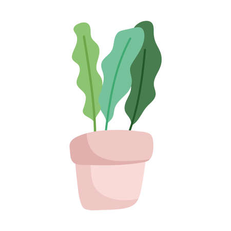 在来植物の生態と特徴