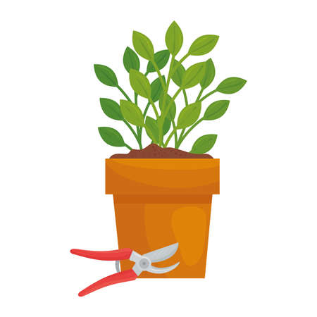 季節感を楽しむ寄せ植えのコツ