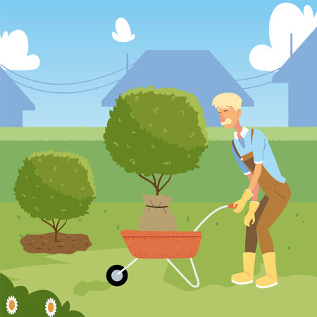 おすすめの観葉植物と選び方