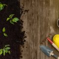 あなたの部屋に合う観葉植物の鉢・プランター選び完全ガイド