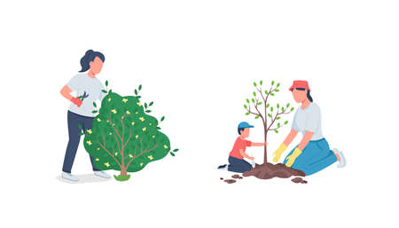 ベランダ園芸に適した植物の選び方
