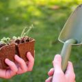 日本の気候とコンポスト：四季ごとのコンポスト管理のコツ