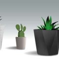 葉焼けを起こした植物の応急処置と再生ポイント
