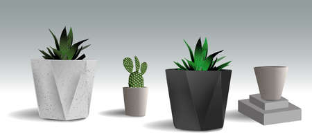 葉焼けを起こした植物の応急処置と再生ポイント