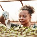グラウンドカバー植物を利用した雑草発生抑制の実践例