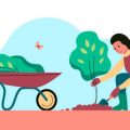 初心者でもできる和風寄せ植えデザインの基礎知識