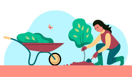 初心者でもできる和風寄せ植えデザインの基礎知識