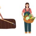 ナメクジの発生原因と日本における効果的な対策方法