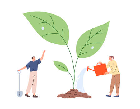 観葉植物とインテリアグリーンの違い