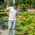 四季を感じる日本のベランダ緑化：季節ごとのおすすめ植物と手入れポイント