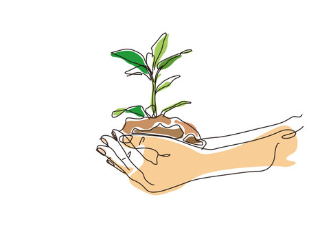 植栽のデザインポイントとレイアウト