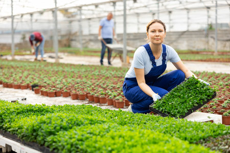 日本各地の在来植物とは？その特徴と魅力を探る