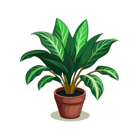 植物の選び方と組み合わせのコツ
