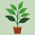 四季折々の花壇デザイン：日本らしい花の配置アイデアと植え替えタイミング