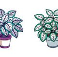ベランダ・バルコニー園芸における植物の吊り下げ・壁面緑化の基礎知識と始め方