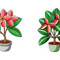 春夏秋冬・季節ごとに注意すべき害虫と病気の傾向と対策