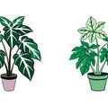 庭の雰囲気に合わせる色使い〜華やか・落ち着き・和・洋の違い