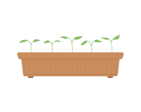 季節ごとに見る日本の代表的な在来植物