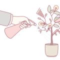 旬を丸ごと味わう！収穫したて野菜を漬物やピクルスにする和の保存法