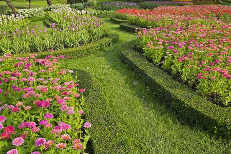 収穫量を最大限にするための家庭菜園のコツとタイミング管理