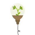 季節ごとに変える寄せ植えのバランスと配色テクニック