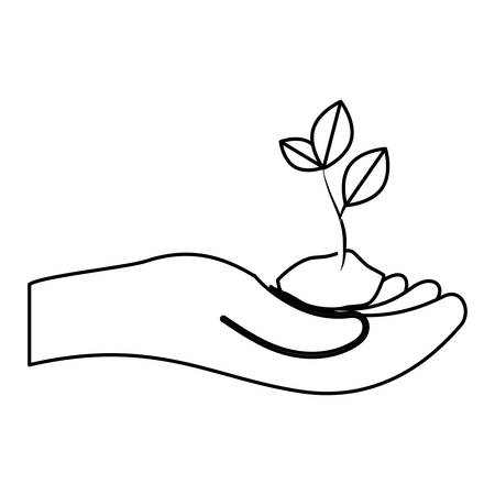 在来草花を活かした庭づくりの基本ポイント
