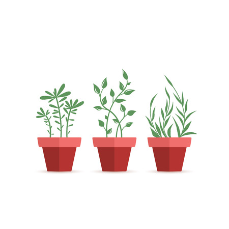 日本在来種を活かした植物選び