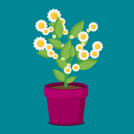日本の気候に適した選植物の選び方