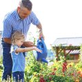 日当たりが異なる方角ごとの植栽プランと植物の選び方
