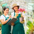 失敗しない観葉植物の置き場所と光の取り入れ方