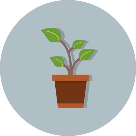 植物に合わせた水やり方法